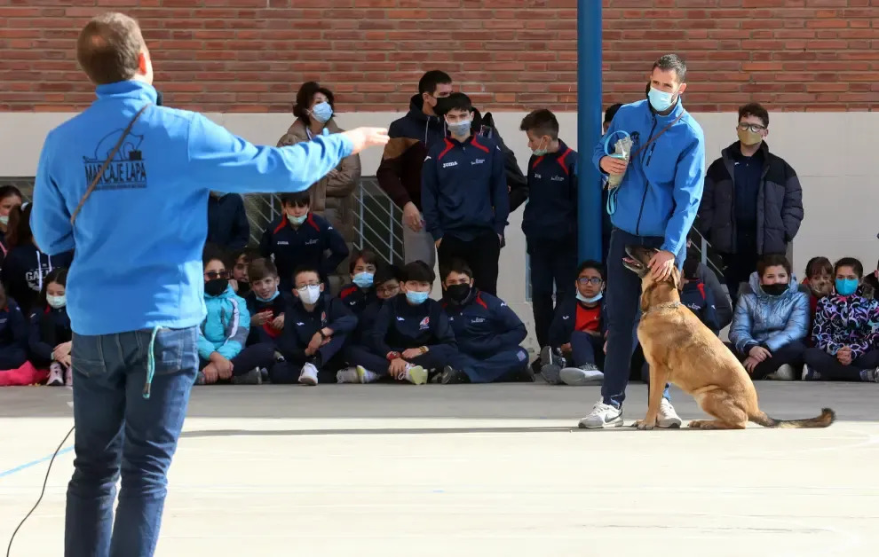 Ona y Neo demostrando sus habilidades para detectar droga ante los alumnos del colegio de San Viator, en Huesca