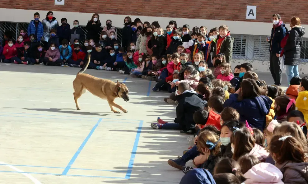 Ona y Neo demostrando sus habilidades para detectar droga ante los alumnos del colegio de San Viator, en Huesca