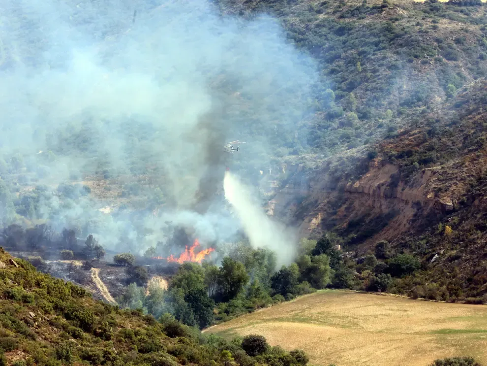 Medios aéreos y terrestres trabajan para extinguir las llamas.
