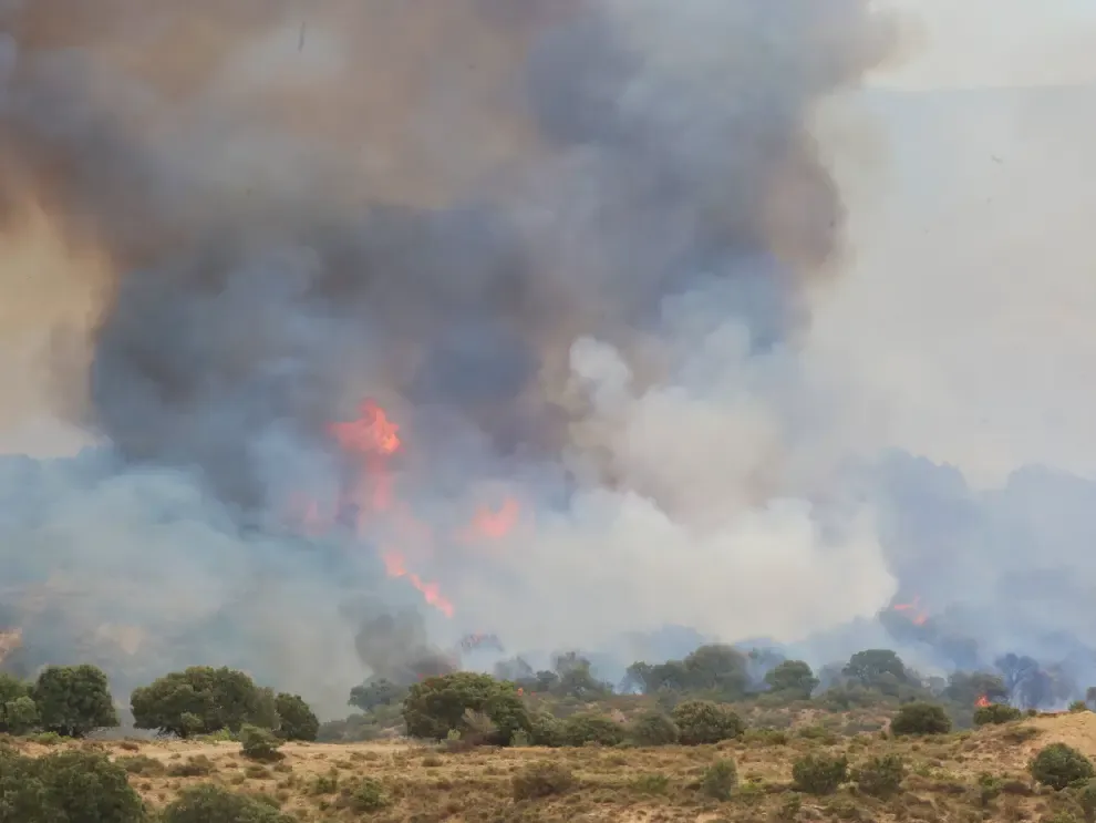 Medios aéreos y terrestres trabajan para extinguir las llamas