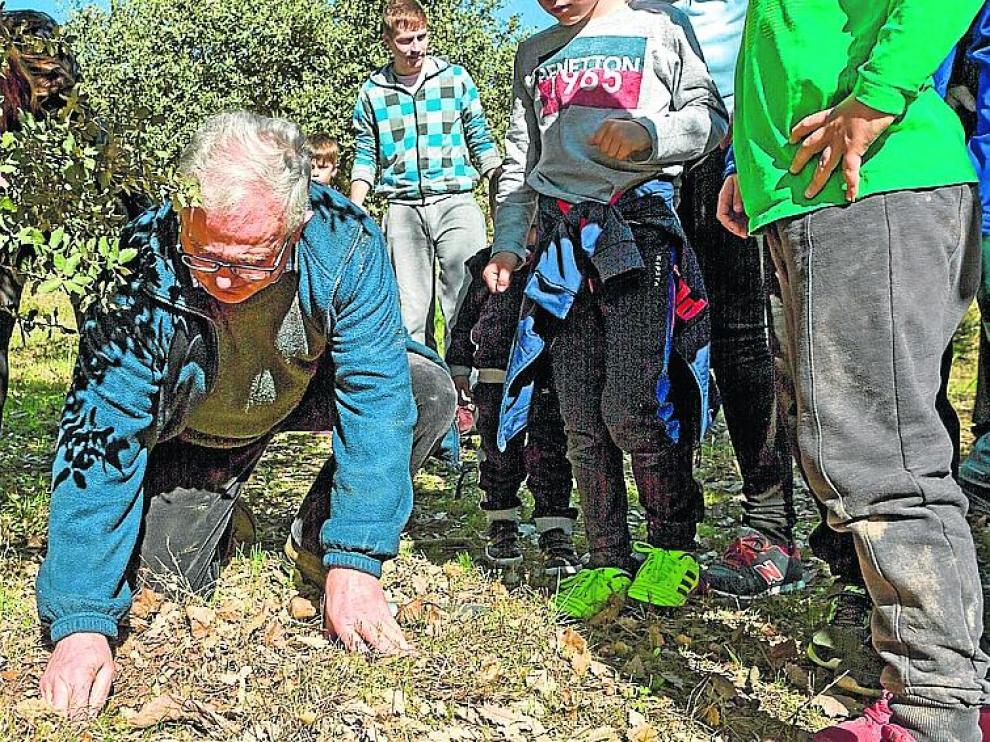 Un apasionado de la trufa enseña a los huéspedes de Casa ‘El Francés’ a buscar el hongo en una plantación y después a la mesa.