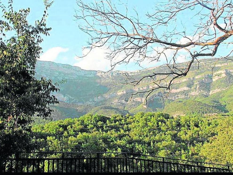 Vista del monte desde el mirador de Samper, el lugar de la provincia escogido por Jorge Lafuente