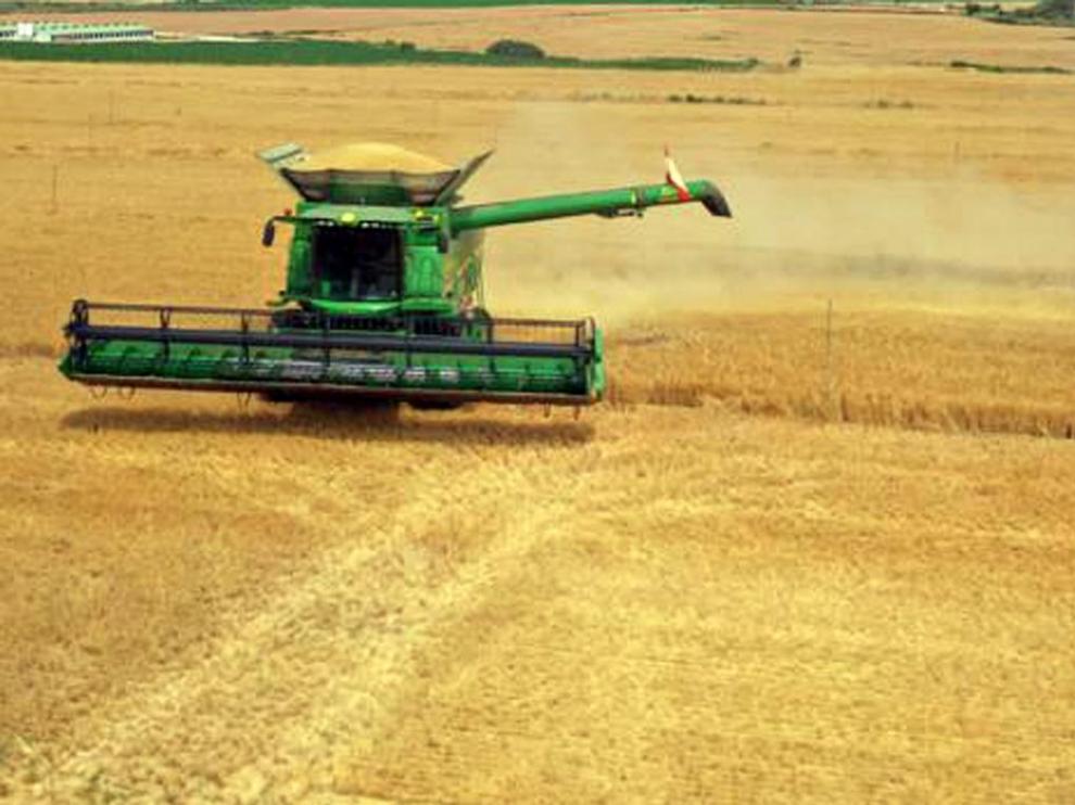 Labores de la cosecha de cereal este año en la provincia de Huesca.