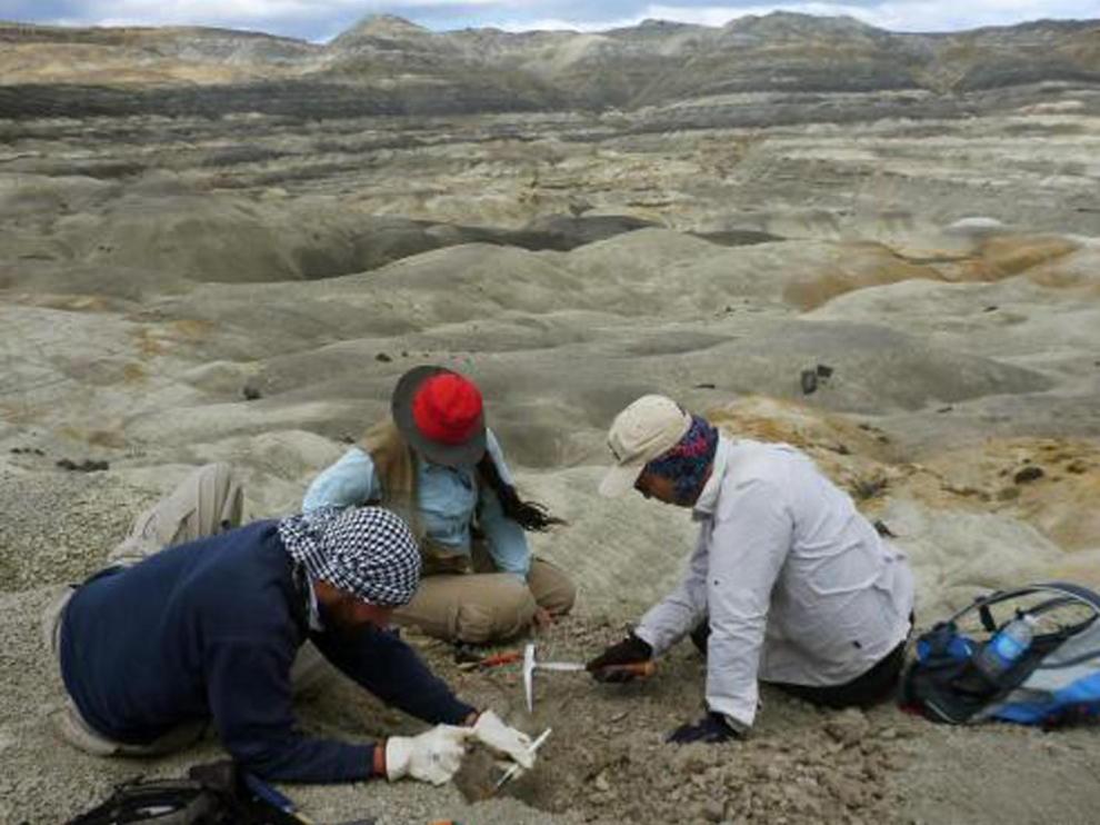 Fueron hallados en la formación geológica de Cerro Fortaleza, ubicada en la provincia sureña de Santa Cruz, Argentina