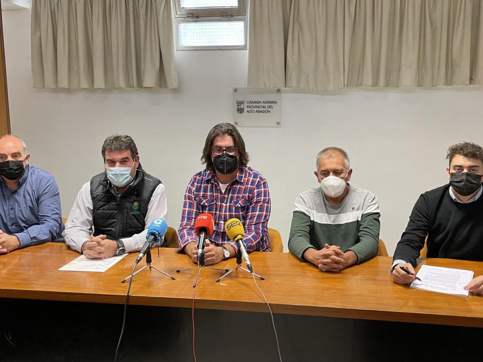Jesús Avellanas, de Cooperativas Agroalimentarias, Francisco Santolaria, de UPA, Gerardo Torralba, de Asaja, Joaquín Solanilla, de Uaga, y Héctor Palacio, de Araga.