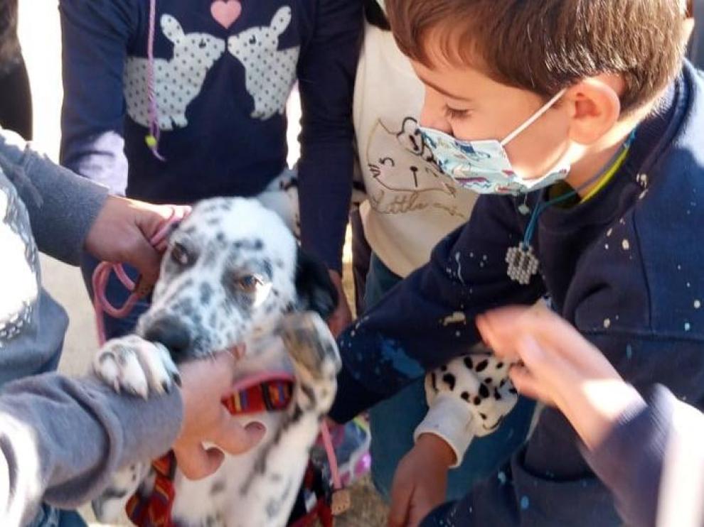Alumnos del Colegio Alcoraz con un perro.
