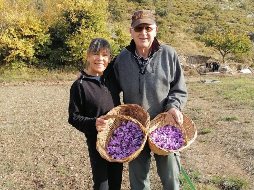 Maripau Huguet junto a Daniel Grau, quien recuperó el cultivo del azafrán en la zona.