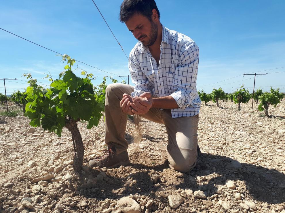 Fernando Mir coge entre sus manos un puñado de la árida tierra próxima a la sierra de Lanaja, de donde salen sus vinos concentrados, marcados por la falta de agua.
