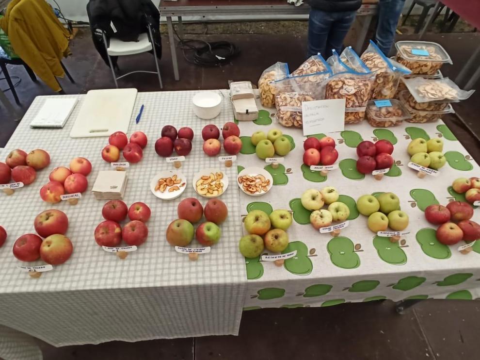 Variedades locales de manzana de montaña recuperadas en la Feria de Otoño Follarasca de Aínsa, el año pasado.