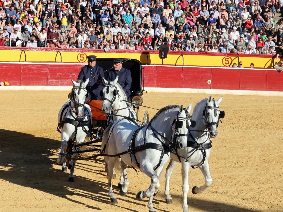 Los caballos que pisaron ayer el ruedo fueron de raza española y de raza hispanoárabe.