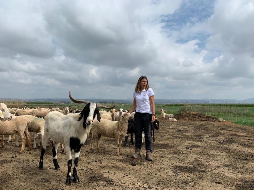 Judit Ballarín se incorporó al sector ganadero hace 12 años y ahora tiene un rebaño de 800 ovejas y cabras.