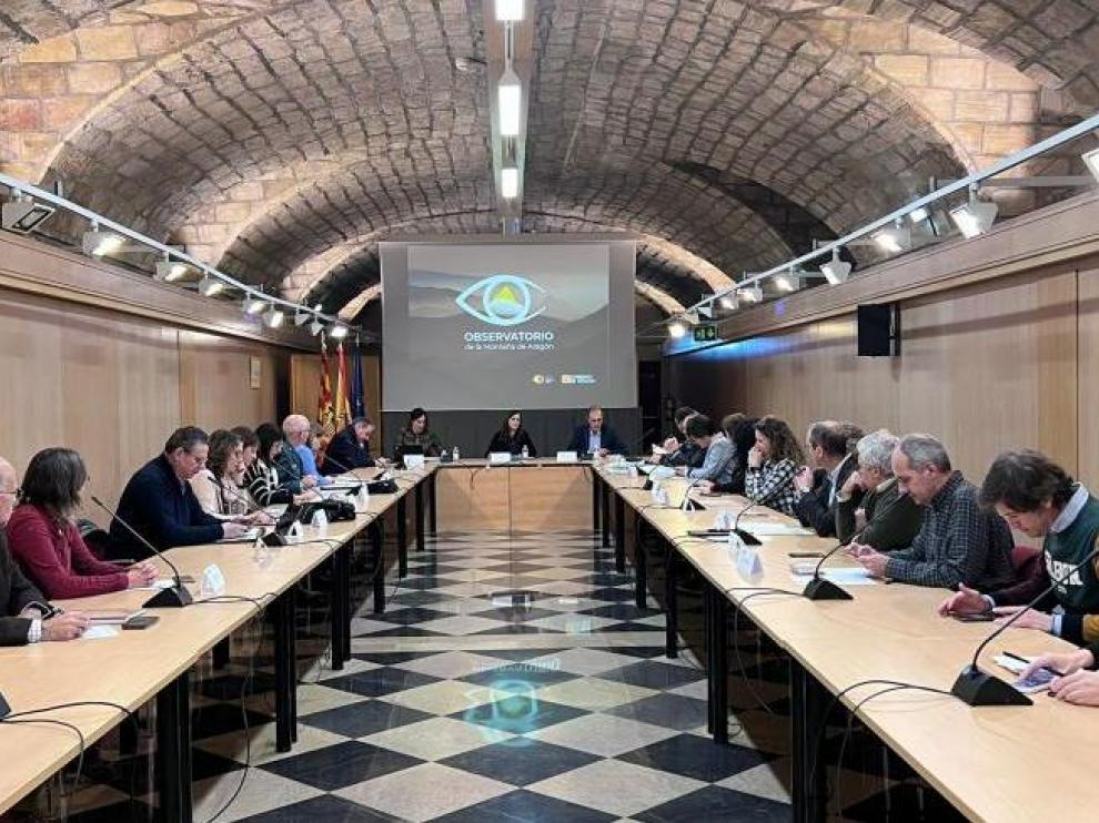 Participantes en el pleno del Observatorio de Montaña de Aragón, celebrado ayer.