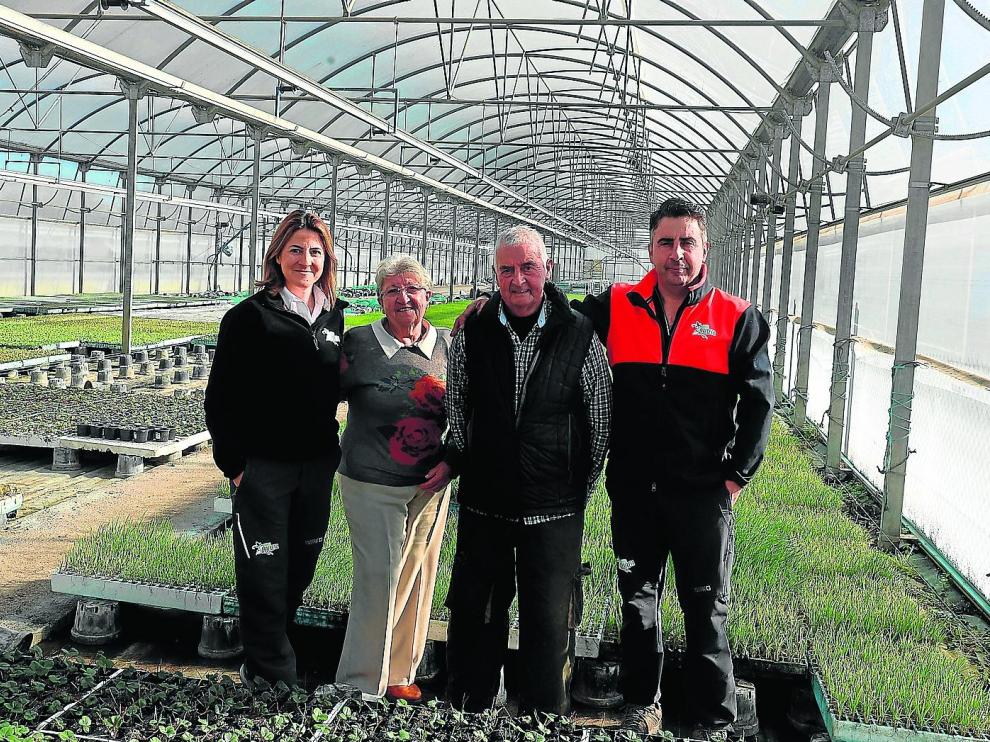 María José y Jorge Guiral posan con sus padres, José Guiral y Ana Sanvicente, en uno de sus invernaderos.