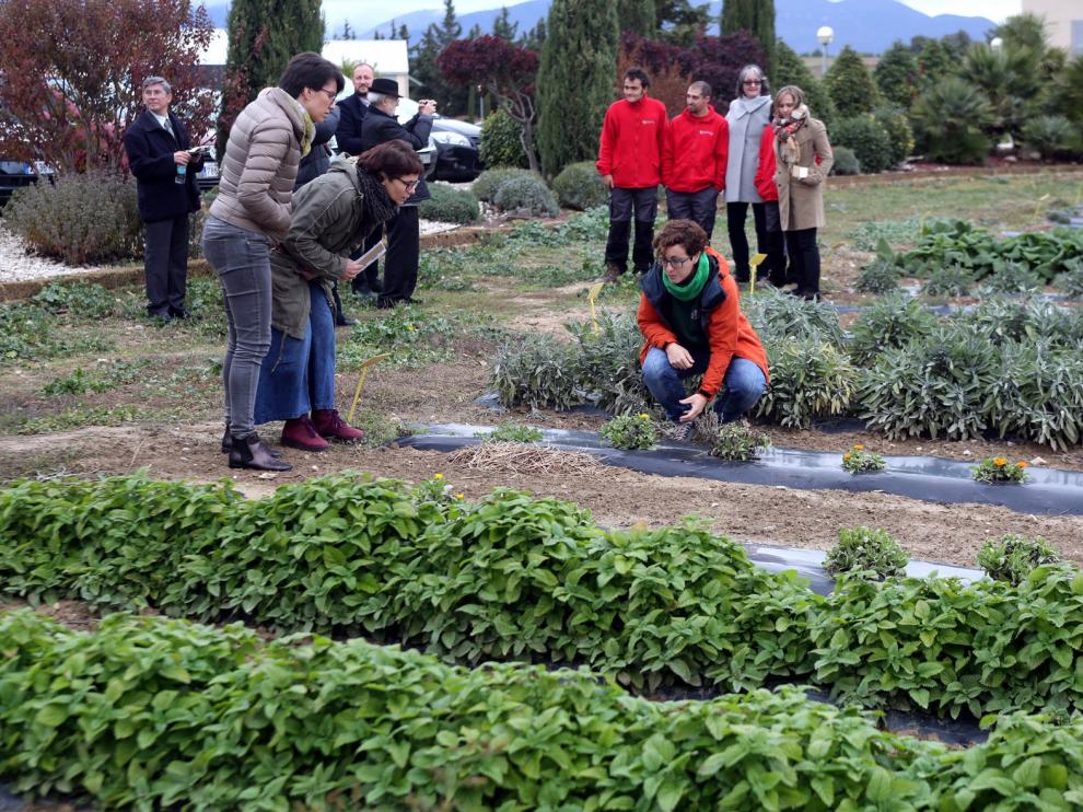 El Proyecto Spagyria avanza pese a la crisis sanitaria y la mala meteorología