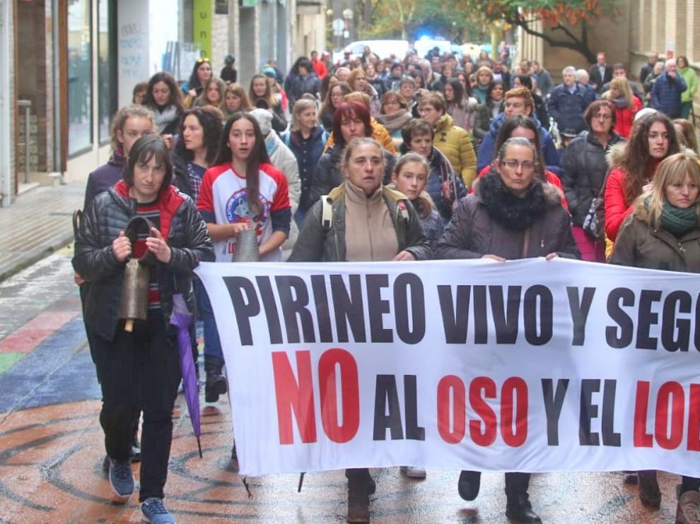 El lobo actúa en Leciñena y mata a más de una decena de ovejas
