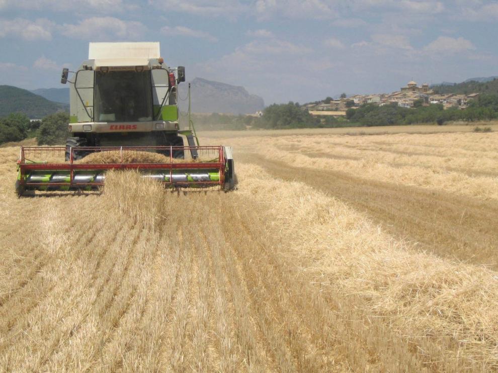 Huesca recibió 132,5 millones en ayudas de la PAC en el año 2018