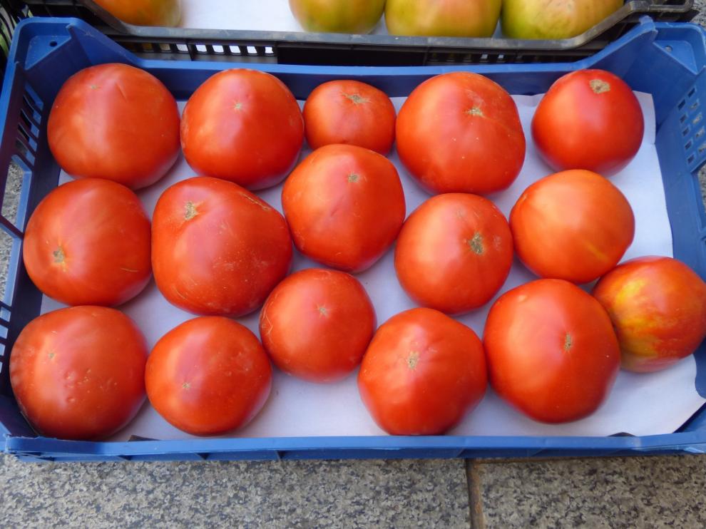 Marco Trade Revista ensalza en sus páginas las virtudes del Tomate Rosa de Barbastro