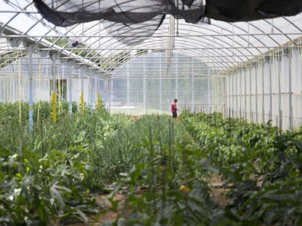Adecuara propone ayudas para 24 proyectos en la Jacetania y el Alto Gállego
