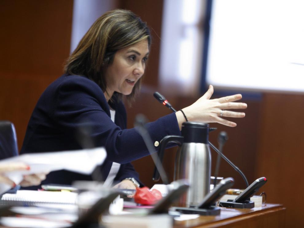 Ciudadanos lamenta la gestión de la consejera de Sanidad ante la epidemia gripal y la saturación de los servicios de urgencias