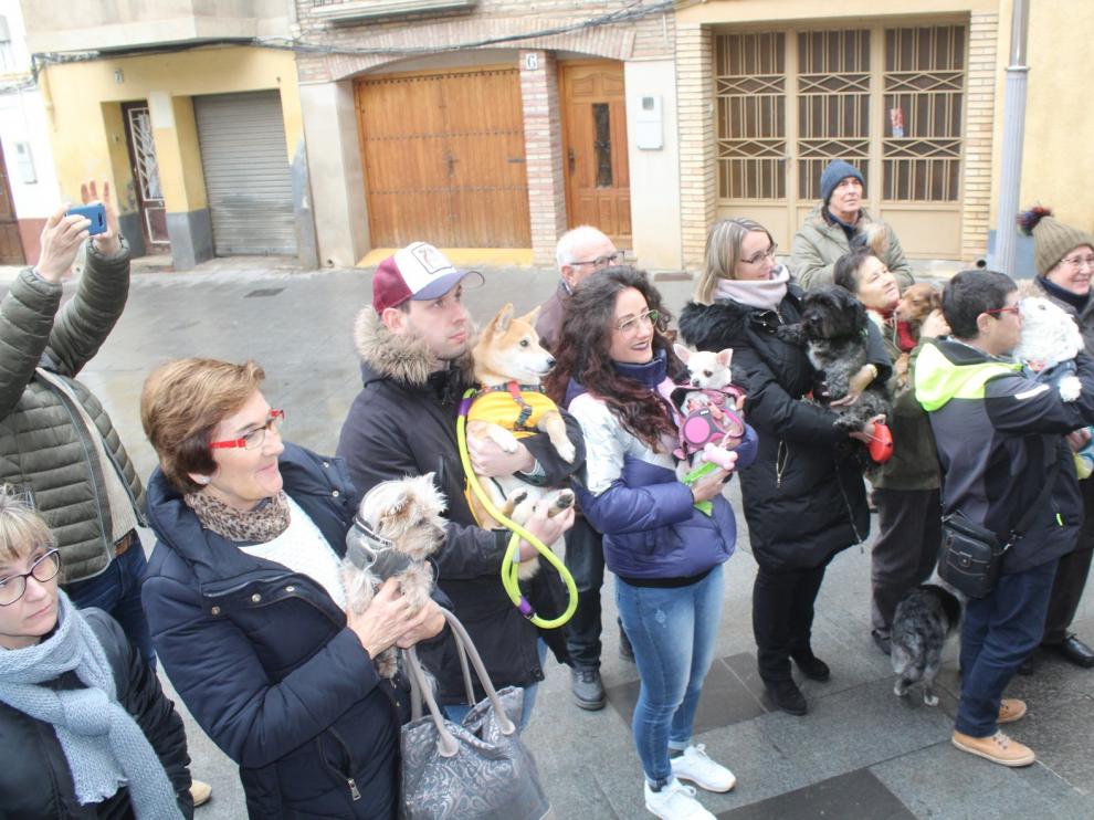 Monzón reedita la festividad de San Antón con la bendición de una veintena de perros