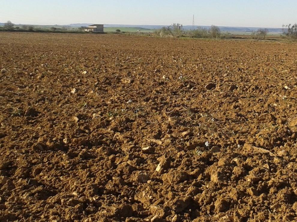 Aprobadas la bases de la concentración parcelaria de Les Puntes