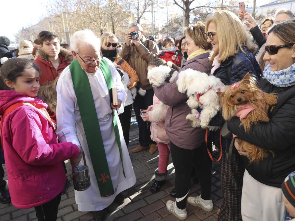 Bendición de San Antón sobre las mascotas de Huesca