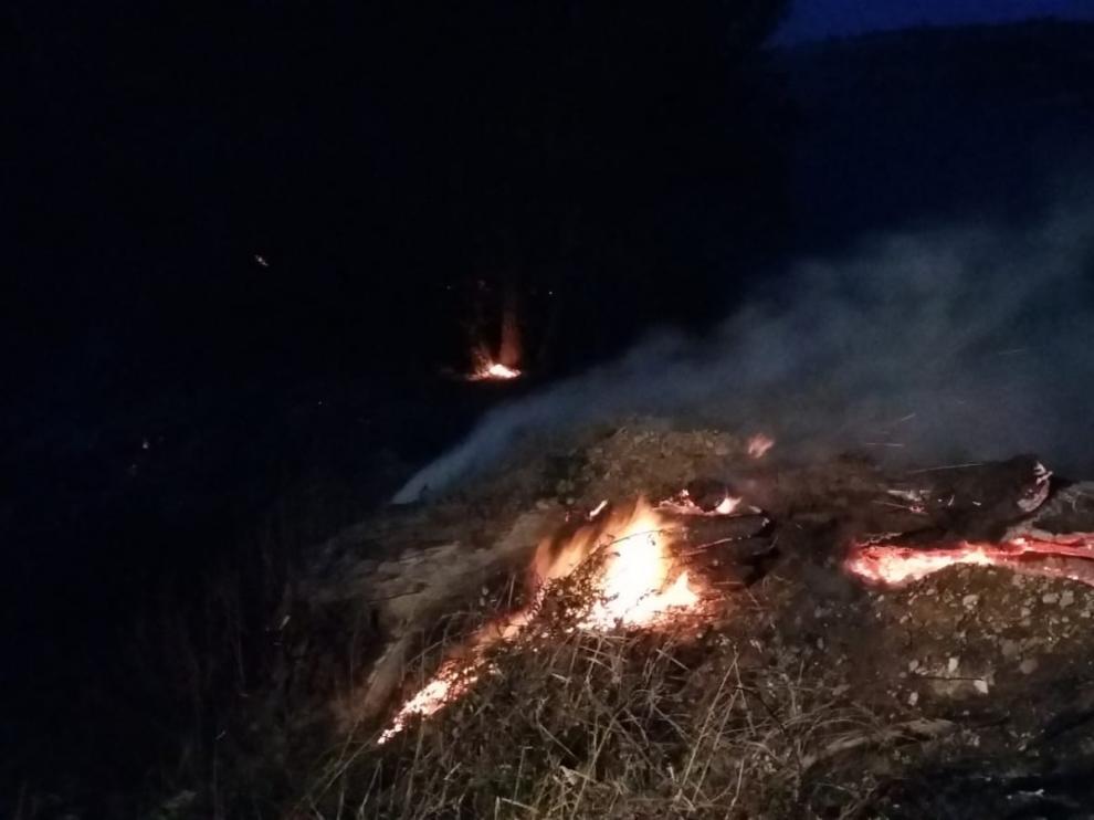 Un incendio calcina tres hectáreas de pinar y monte bajo en la Laguna de Sariñena