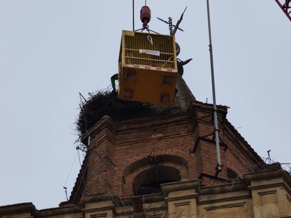 Se eliminan cuatro nidos de cigüeña en la torre de la catedral de Barbastro