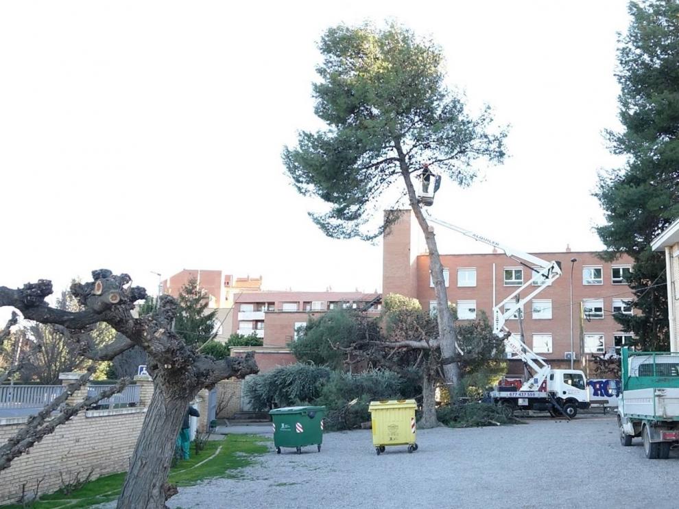 Comienzan los trabajos de reparación de la cubierta de la piscina climatizada de Fraga