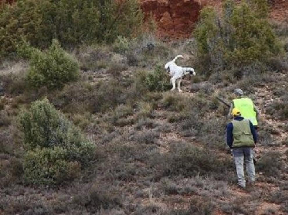 La sociedad de caza de Yebra formaliza el uso de unos terrenos para su actividad