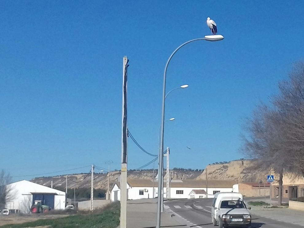 Seguimos siendo observados