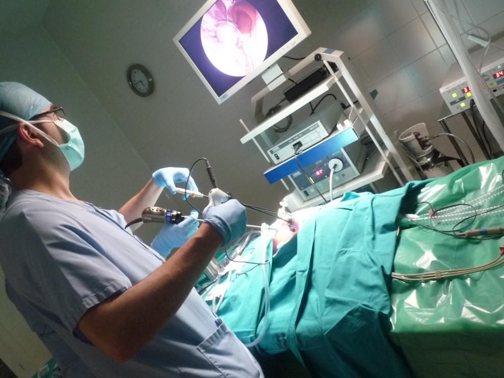 Más de 600 sanitarios aragoneses realizarán estancias en otros centros para aprender de otros compañeros