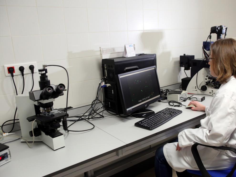 Laboratorios para la excelencia investigadora en la Escuela Politécnica Superior de Huesca