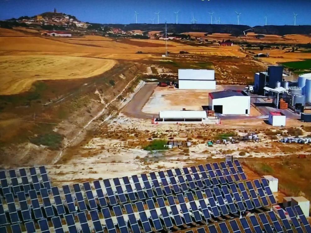 La empresa holandesa de Alcalá de Gurrea integra a gente joven
