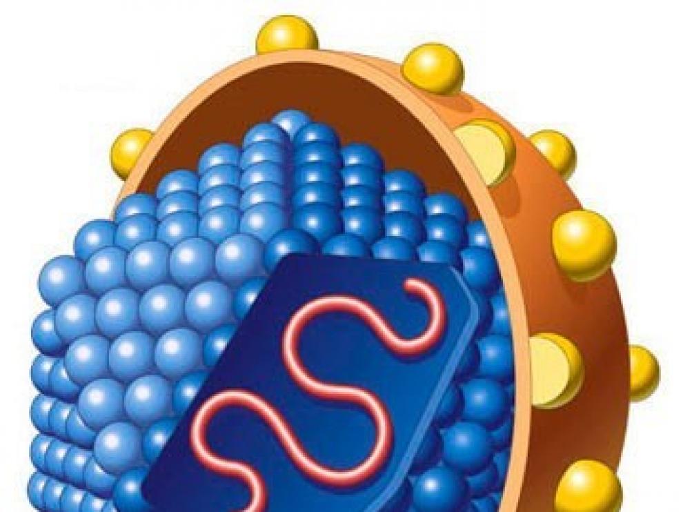 La hepatóloga María Bestué asegura que"Aragón podría erradicar la hepatitis C en 2021"