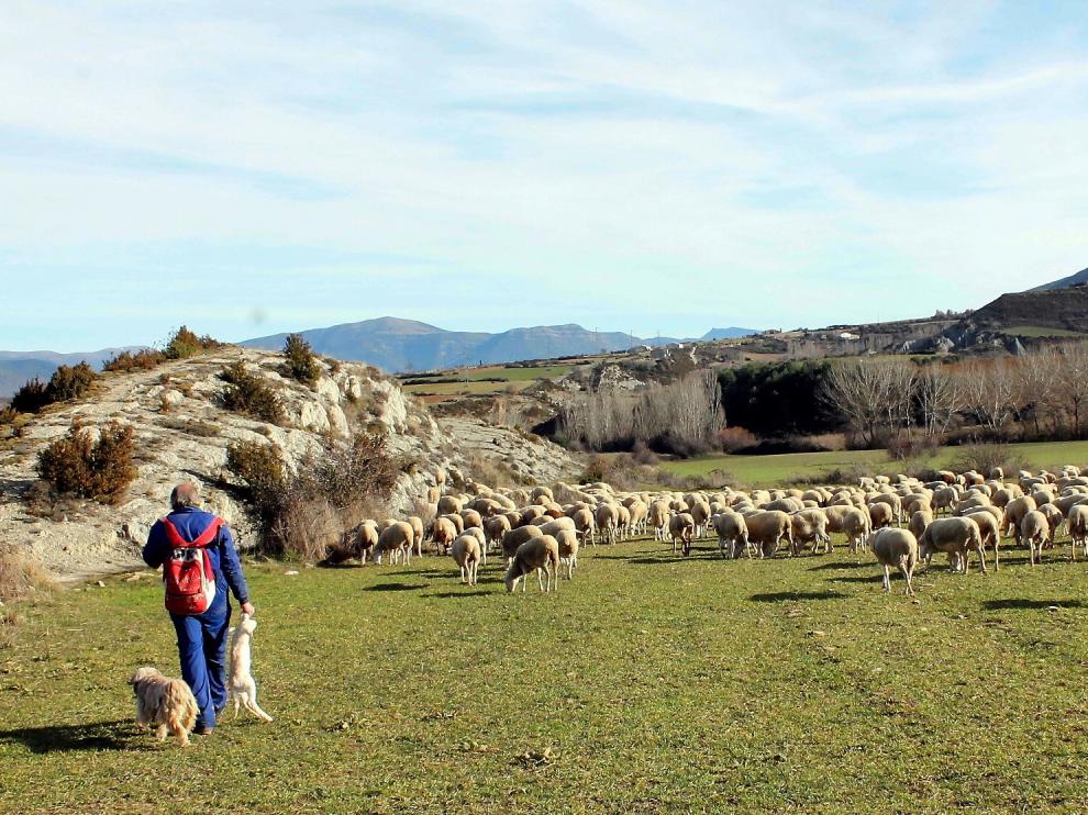 Bienestar, experiencias "agro" y setas, tres reclamos para visitar la provincia de Huesca