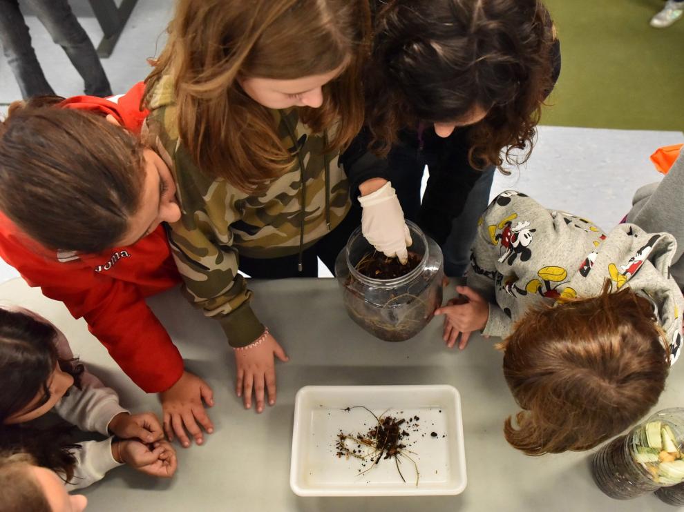 El Aula Verde de Huesca retomará su actividad tras permanecer meses cerrada