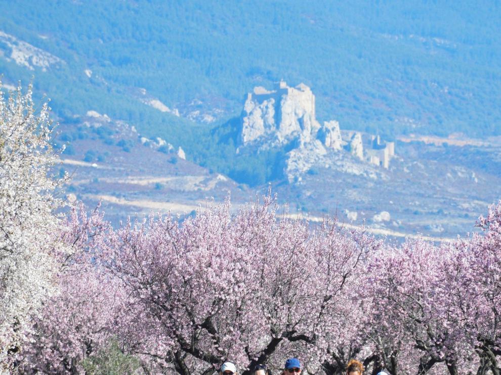 La Flor del Almendro dibuja la más vistosa escena del caminante