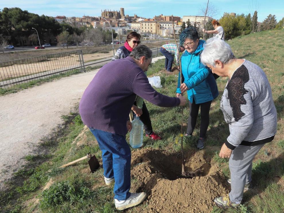 Vecinos del Perpetuo Socorro reponen arbolado en Mártires