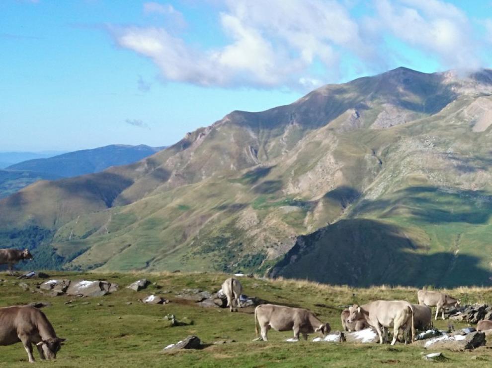 La ampliación de Cerler por Castanesa abre posibilidades de futuro para el término de Montanuy