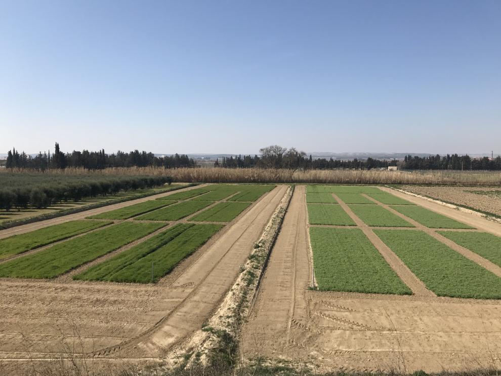 Un proyecto plantea usos agrarios que rompan con el monocultivo