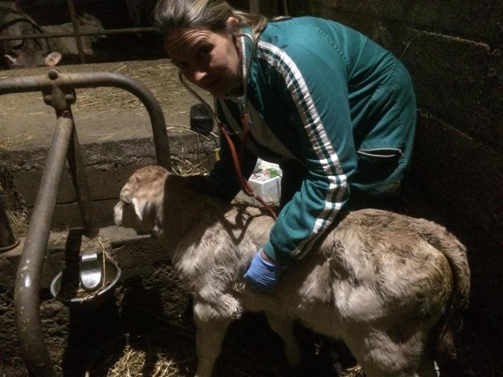 El trabajo en el campo y con los animales siempre ha sido "cosa de mujeres"