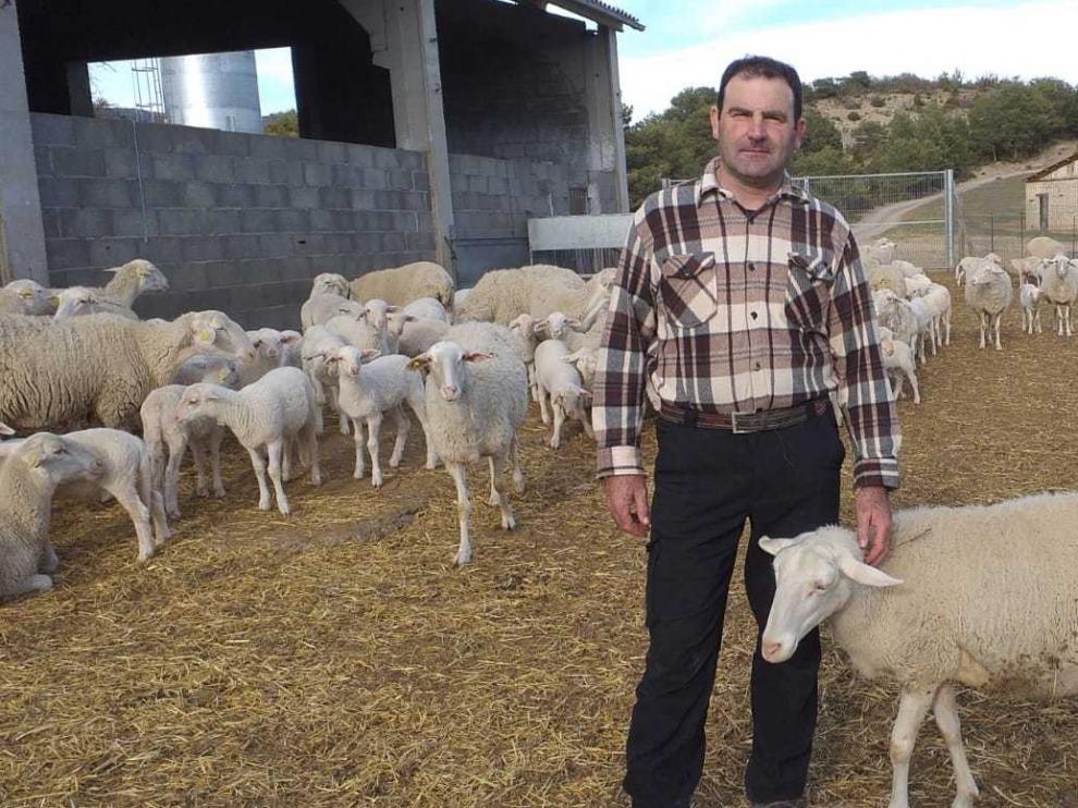 Francisco Santolaria, ganadero de Molino de Villobas: "Sin ganadería extensiva, perderemos gente, pastos y el turismo irá detrás"