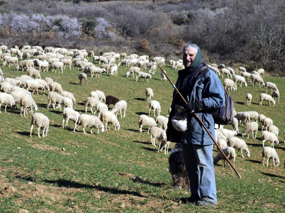 Antonio Aniés, el último pastor de Alquézar, será reconocido por la Asociación de ganaderos de Guara