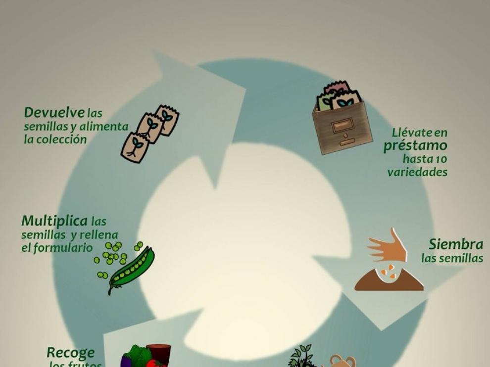 La biblioteca de semillas, un proyecto que conjuga innovación y horticultura