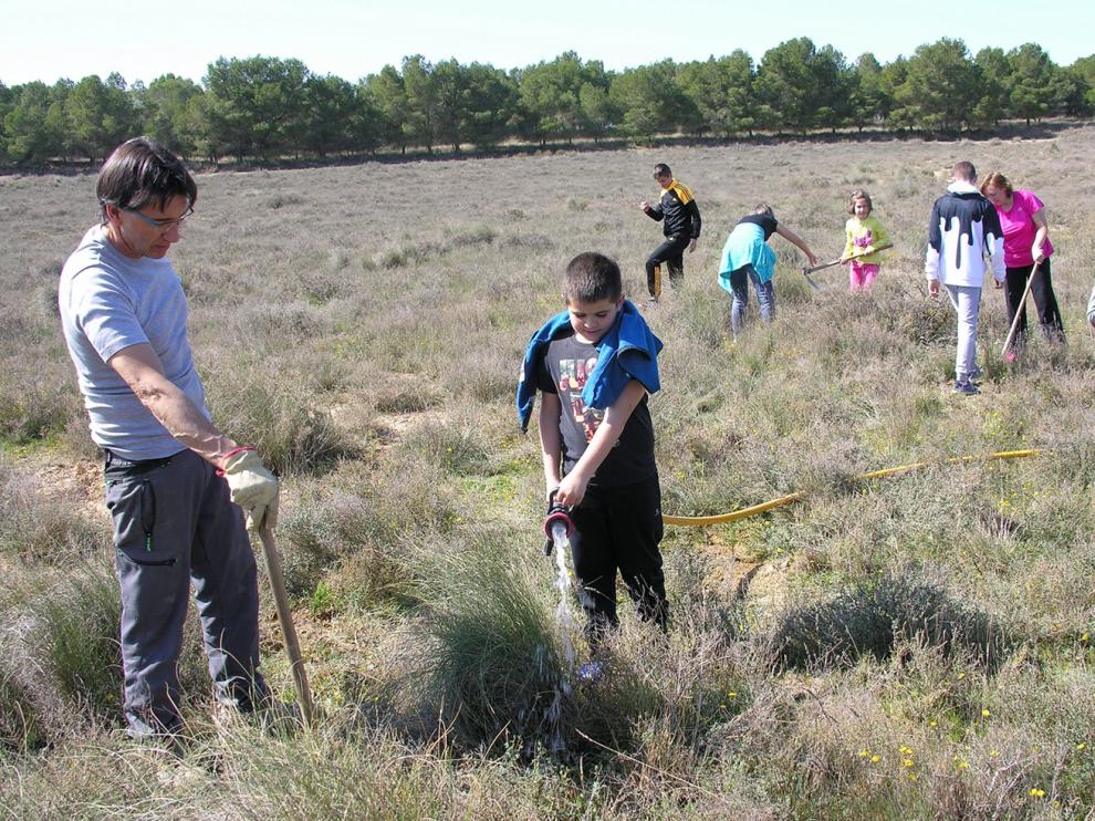 Plantación de 250 sabinas en La Laguna de Sariñena