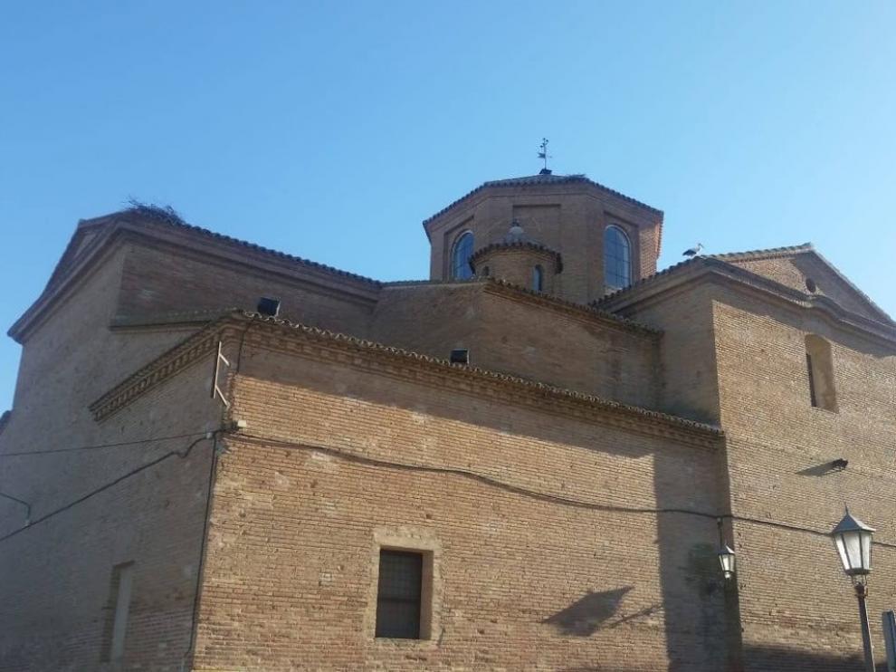 Denuncian la destrucción de seis nidos de cigüeña en Alcolea de Cinca