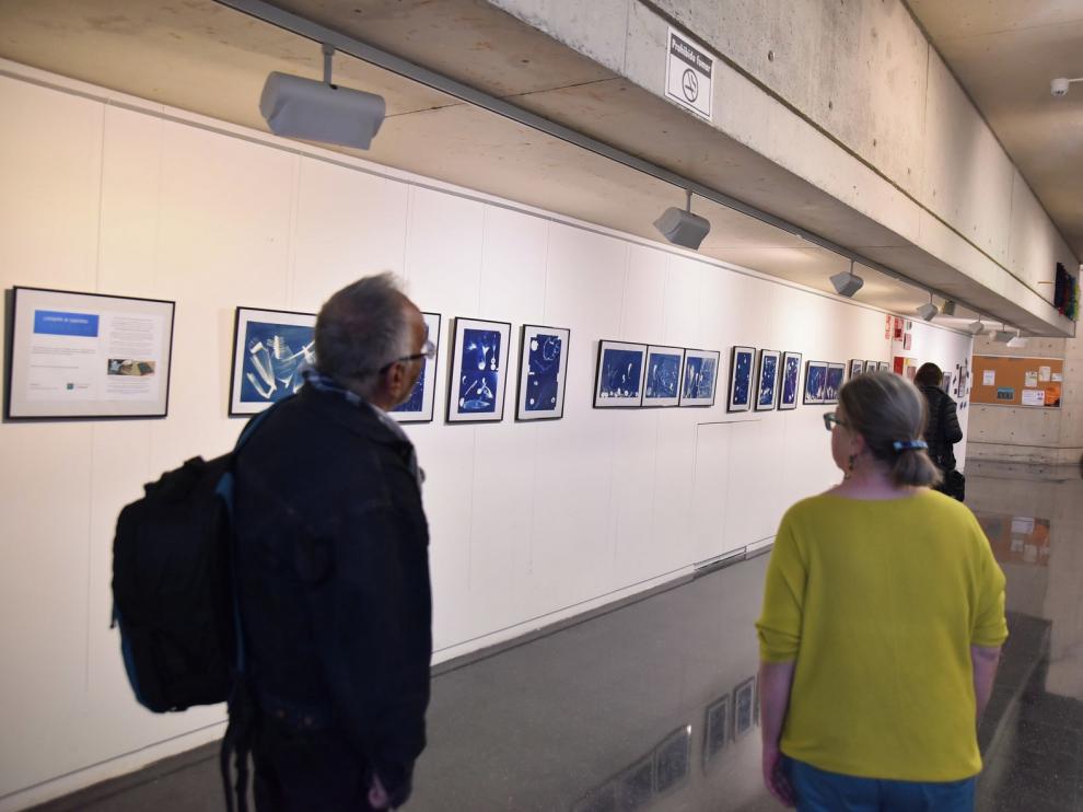 "¿Qué será del mar?", una exposición que invita a reflexionar desde cianotipias