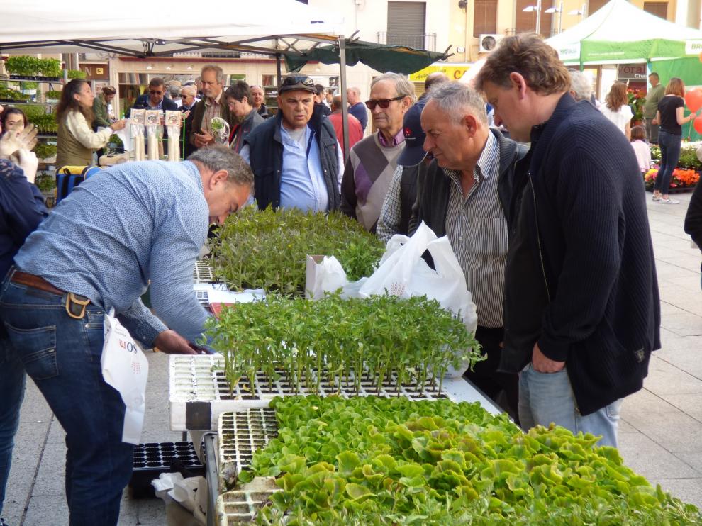 La X Fiesta El Plantero atrae a cerca de 7.000 personas a la plaza del Mercado de Barbastro