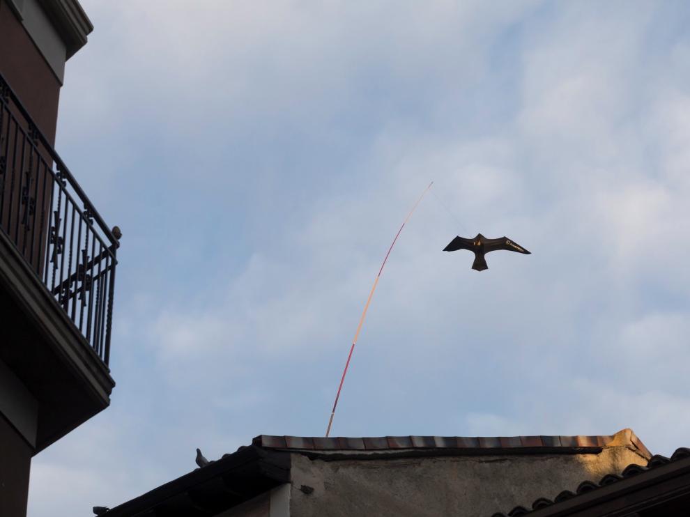 Espantapájaros móvil